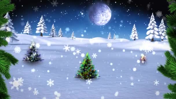 Kış Manzarasında Noel Ağacının Üzerine Düşen Yeşil Yaprakların Kar Tanelerinin — Stok video