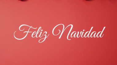 Felix Navidad 'ın animasyonu Noel süslemeleriyle ilgili. Noel, kutlama ve dijital arayüz kavramı dijital olarak oluşturulmuş video.