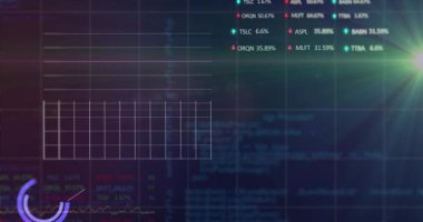 Bu animasyon, yeşil arkaplan üzerinde kusursuz bir döngü içinde hipnotik bir hareketle parlayan turuncu ve sarı bir ışık izi tasvir ediyor. Animasyon kırmızı, mavi, mor ve yeşil borsa işaretleri ve grafikleriyle borsa görüntüsünü temsil ediyor.