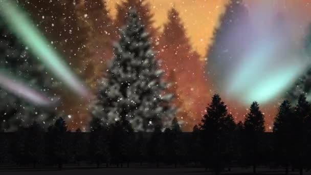 Animation Neige Tombant Sur Texte Joyeux Noël Boule Neige Avec — Video