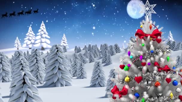 Animasi Lanskap Musim Dingin Malam Dengan Salju Dan Pohon Natal — Stok Video