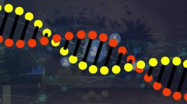 Bilgi arayüzü üzerindeki çizgilerle bağlı ikonlar üzerinde dönen DNA sarmalının animasyonu. Dijital olarak üretilen hologram, rapor, finans, genetik, tıbbi, iletişim ve teknoloji kavramı