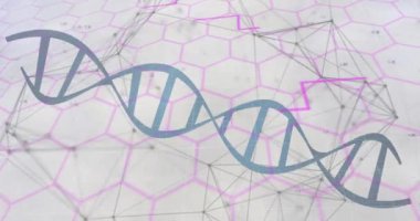 DNA ipliği üzerinde veri işleme animasyonu. küresel bilim ve dijital arayüz kavramı dijital olarak oluşturulmuş video.