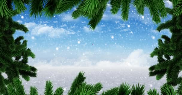 Animation Des Vœux Noël Sur Boule Rouge Les Branches Sapin — Video