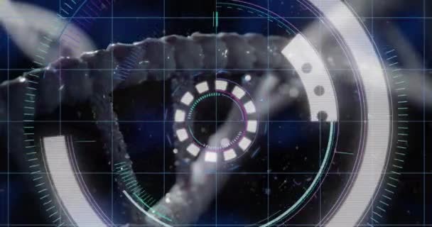 Animación Del Escaneo Del Visor Sobre Hebra Adn Concepto Ciencia — Vídeo de stock