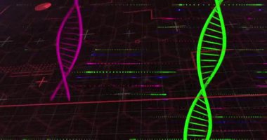 DNA iplikçiklerinin üzerindeki şekillerin animasyonu. Küresel bilim ve dijital arayüz kavramı dijital olarak oluşturulmuş video.