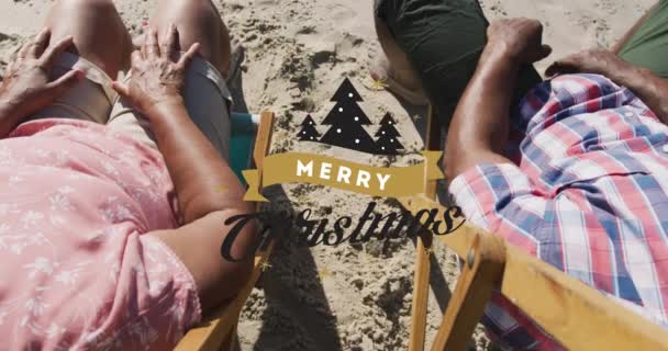 Animacja Świątecznych Pozdrowień Tekst Nad Starszą Parą Birasową Plaży Boże — Wideo stockowe