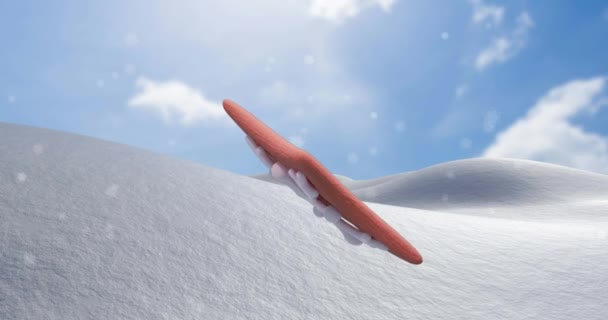 Animace Vánoční Hvězdy Perníkové Sušenky Sněhu Padající Zimní Scenérii Vánoce — Stock video