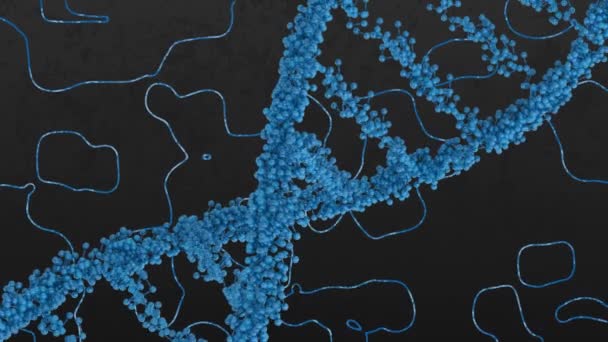 Animation Eines Makros Aus Blauem Dna Strang Über Blauen Kartenlinien — Stockvideo