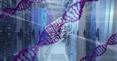 Sunucu odasında dönen DNA iplikçiklerinin animasyonu. Küresel bilim ve veri işleme kavramı dijital olarak oluşturulmuş video.