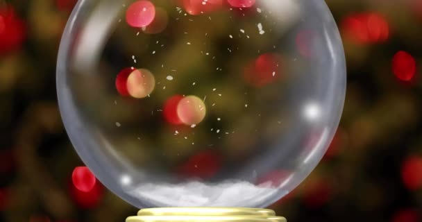 Animation Christmas Snow Globe Snow Falling Flickering Fairy Lights Background — Stock Video