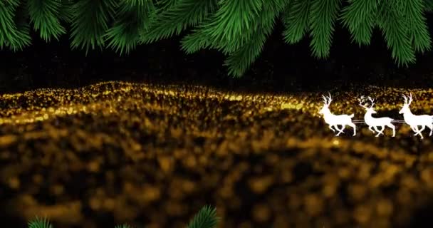 Noel Baba Nın Altın Örgü Köknar Ağacının Üstünde Noel Baba — Stok video