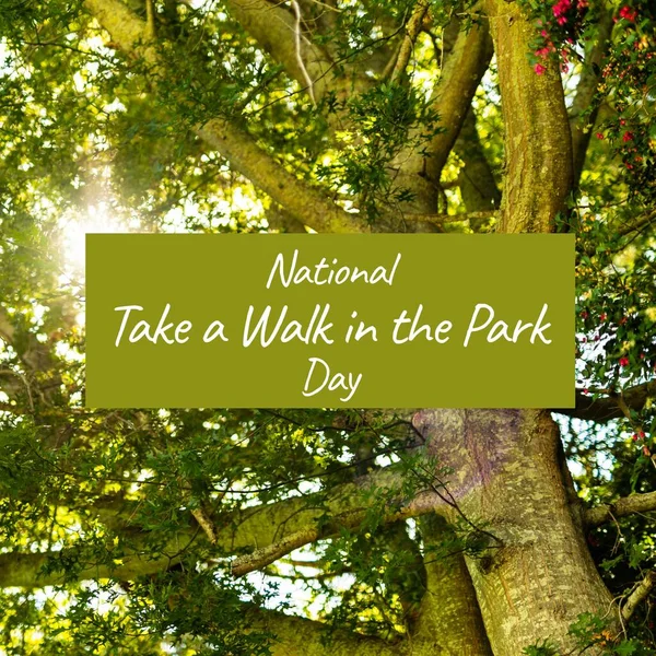 Sammansättning Nationella Promenad Parken Dag Text Och Träd Parken National — Stockfoto