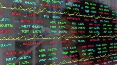 Finansal veri işleme ve iş kadını istatistiklerinin animasyonu. Küresel iş, finans, veri işleme ve bağlantılar konsepti dijital olarak oluşturulmuş video.