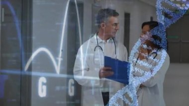 Veri işlemenin animasyonu ve çeşitli doktorların DNA 'sı. Küresel tıp, bilgisayar ve dijital arayüz kavramı dijital olarak oluşturulmuş video.