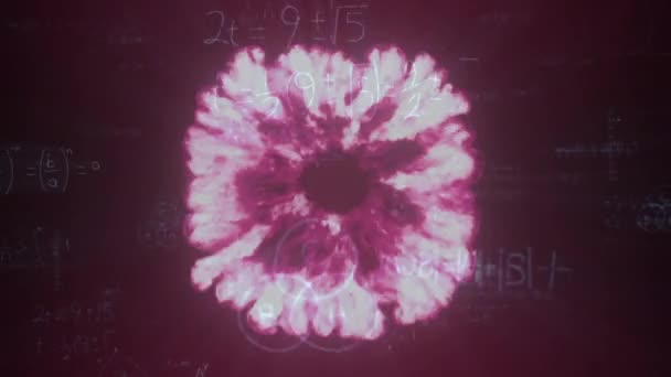 数学的方程式と黒の背景に対する図上の火災爆発のアニメーション 教育と科学の概念 — ストック動画