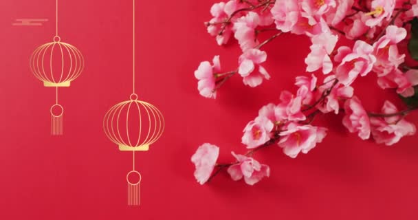 Animacja Chińskiego Wzoru Dekoracji Kwiat Czerwonym Tle Chiński Nowy Rok — Wideo stockowe