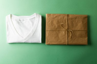 Paketlenmiş beyaz sweatshirt 'ü kapat ve yeşil arka planda kopyala. Giyim, moda ve perakende konsepti.