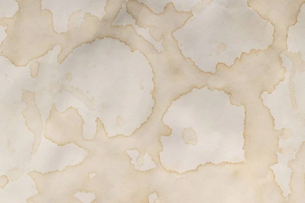 Білий Вітраж Паперу Копіюванням Простору Білому Тлі Абстрактний Фон Текстури — стокове фото
