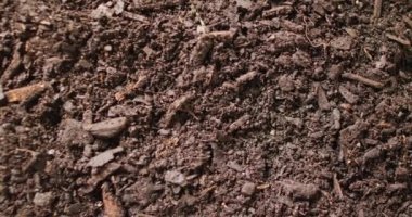 Organik siyah turba toprağı ve ağaç kabuğu dokusunun görüntülerini kapatın. Ekoloji, büyüme, bakım ve doğa kavramı.