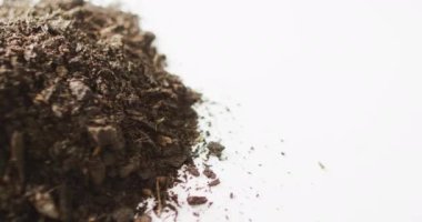 Koyu organik toprak ve ağaç kabuğu parçalarından oluşan beyaz arka planda fotokopi alanı olan bir yığın video. Ekoloji, büyüme, bakım ve doğa kavramı.