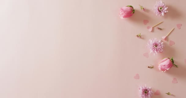 粉色玫瑰 菊花头和心脏的视频 背景为淡粉色 有复制空间 情人节 春天和庆祝的概念 — 图库视频影像