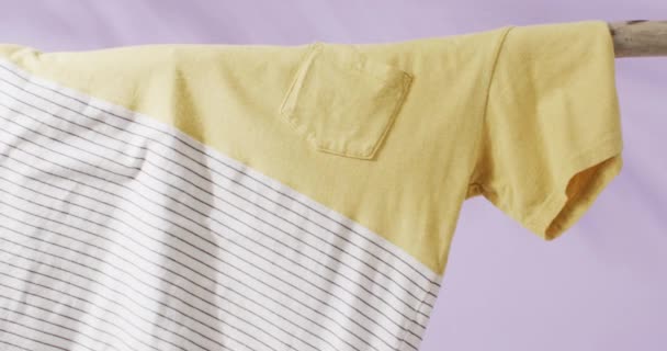 Video Close Yellow Striped White Shirt Hanging Branch Purple Background — Stock Video