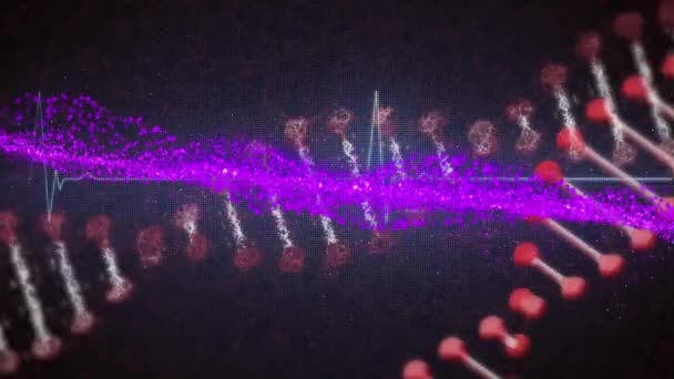 Анімація Абстрактного Візерунка Над Геліками Днк Ритмом Серцебиття Чорному Тлі — стокове відео