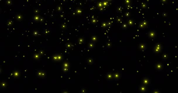 Анимация Мигающих Желтых Огней Световых Дорожек Движущихся Черном Фоне Абстрактная — стоковое видео