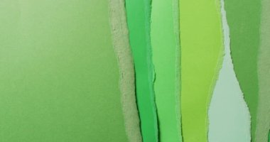 Yırtık yeşil kağıt parçalarının yakın plan videosu. Kağıt, yazı, doku ve malzeme kavramı.