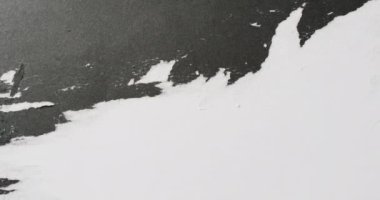 Beyaz arka planda siyah boya darbelerinin yakın çekim videosu. Kağıt, yazı, doku ve malzeme kavramı.