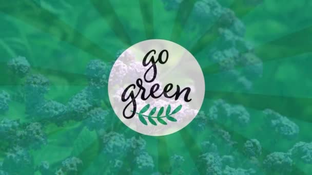 Анімація Зеленого Тексту Білому Колі Листям Стебла Над Крупним Планом — стокове відео