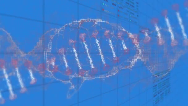 蓝光背景下Dna链和数字大脑上的数据处理动画 全球科学 计算机和数字接口概念数字生成视频 — 图库视频影像