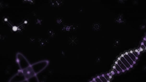 Animacja Ścieżek Świetlnych Płynny Wzór Nad Dna Struktur Molekularnych Czarnym — Wideo stockowe