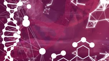 DNA ipliği ve eller üzerinde veri işleme animasyonu. Küresel iş ve dijital arayüz kavramı dijital olarak oluşturulmuş video.