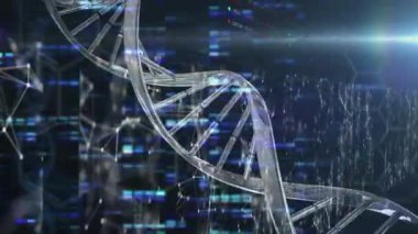 Siyah zemin üzerindeki DNA iplikçikleri üzerinde veri işleme ve hareket kollarının animasyonu. Küresel teknoloji, bilgisayar ve dijital arayüz kavramı dijital olarak oluşturulmuş video.