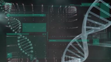 DNA iplikçiklerinin animasyonu, ekran üzerinde bağlantı ağı ve veri işleme. Küresel bilim, iş, hesaplama, bağlantılar ve veri işleme kavramı dijital olarak oluşturulmuş video.