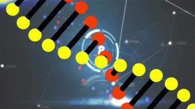 Siyah arkaplandaki DNA iplikçikleri üzerinde veri işleme ve tarama animasyonu. Küresel teknoloji, bilgisayar ve dijital arayüz kavramı dijital olarak oluşturulmuş video.