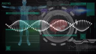 DNA iplikçiklerinin animasyonu, bağlantı ağı ve veri işleme alanı üzerinde. Küresel bilim, iş, hesaplama, bağlantılar ve veri işleme kavramı dijital olarak oluşturulmuş video.