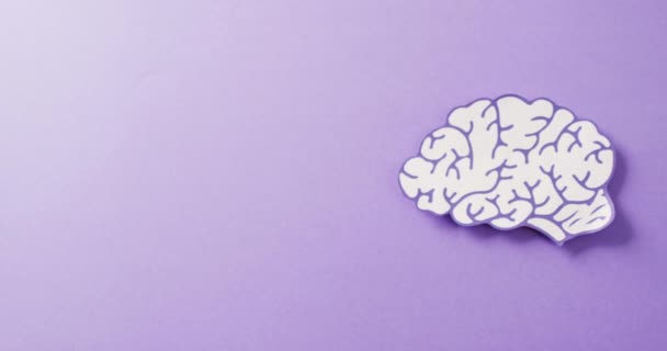 Відео Про Фіолетовий Білий Паперовий Мозок Фіолетовому Фоні Простором Копіювання — стокове відео