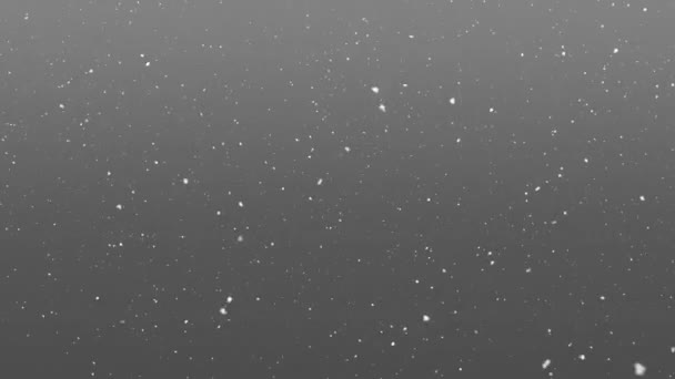 雪が降っている以上のホリーテキストのアニメーション クリスマス お祝いとデジタルインターフェイスの概念デジタル生成ビデオ — ストック動画