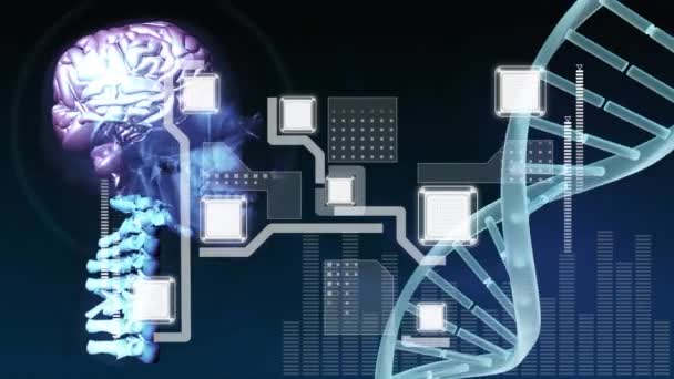 Animation Data Processing Brain Dna Strand Global Science Digital Interface — Stock Video