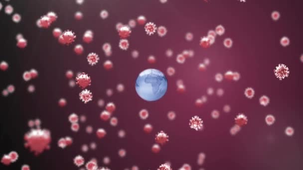 Анимация Ковид Клеток Плавающих Над Вращающимся Глобусом Светлом Пятне Розовом — стоковое видео