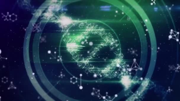 Анімація Бази Даних Кілька Молекул Освітлення Dna Спіраль Чорному Тлі — стокове відео
