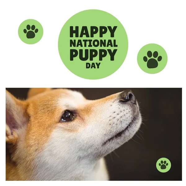 Zusammenstellung Eines Glücklichen Nationalen Welpentags Textes Über Hund Nationaler Welpentag — Stockfoto