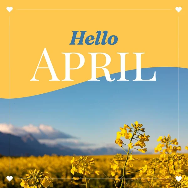 Skład Powitania Tekst Kwietnia Nad Kwiatami Żółtym Niebieskim Tle Witaj — Zdjęcie stockowe