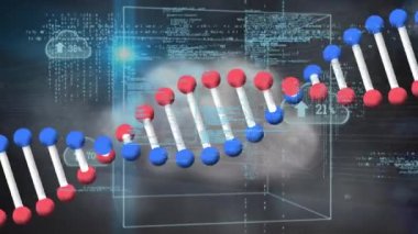 Dönen DNA yapısının animasyonu ve artan yüzdeye sahip çoklu bulut simgeleri. Tıbbi araştırma ve bilim teknolojisi kavramı