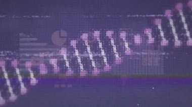 DNA yapısı ve mor arka planda istatistiksel veri işleme üzerindeki hata etkisinin animasyonu. Tıbbi araştırma ve bilim teknolojisi kavramı