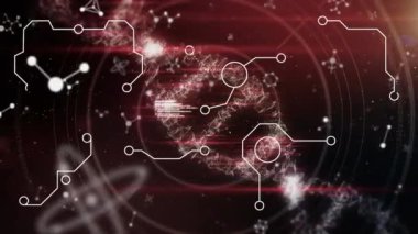 Veri tabanı animasyonu, nükleotidler, DNA sarmalları, siyah arka planda daireler çizen mercekler. Dijital olarak üretilmiş, hologram, araştırma, genetik, sağlık, soyut ve teknoloji kavramı.