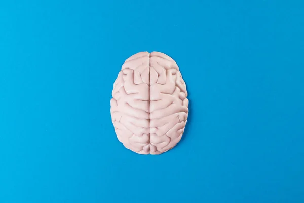 Nad Hlavou Bílý Mozek Modrém Pozadí Kopírovacím Prostorem Medicína Duševní — Stock fotografie